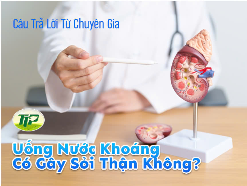 Uống Nước Khoáng Có Gây Sỏi Thận Không? Câu Trả Lời Từ Chuyên Gia